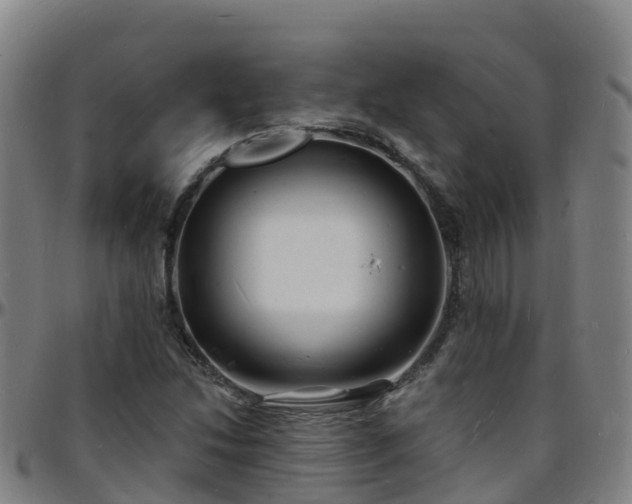 X0000096391214200801311314