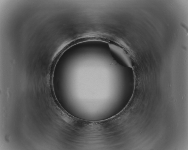 X0000096391216200801311314
