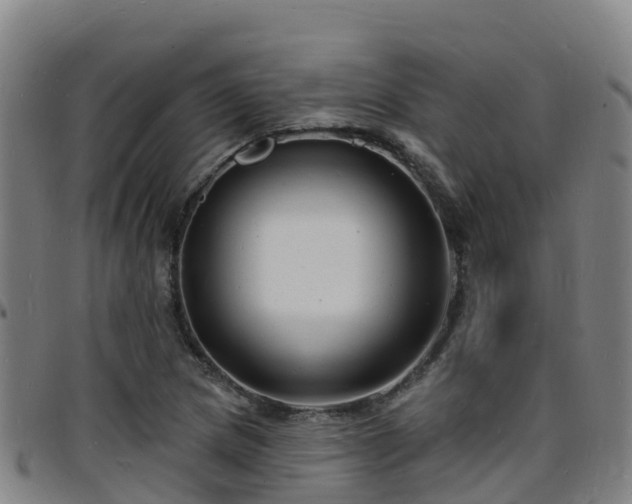 X0000096391217200801311314