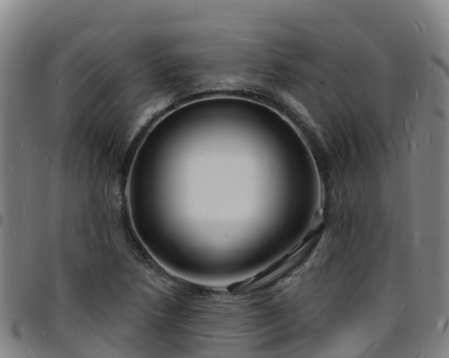 X0000096391218200801311314