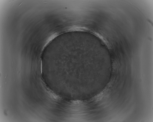 X0000096391219200801311314