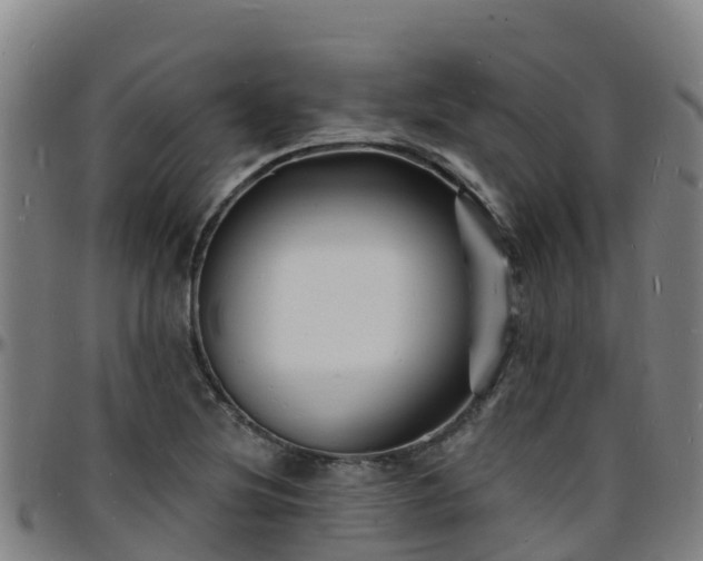 X0000096391220200801311314