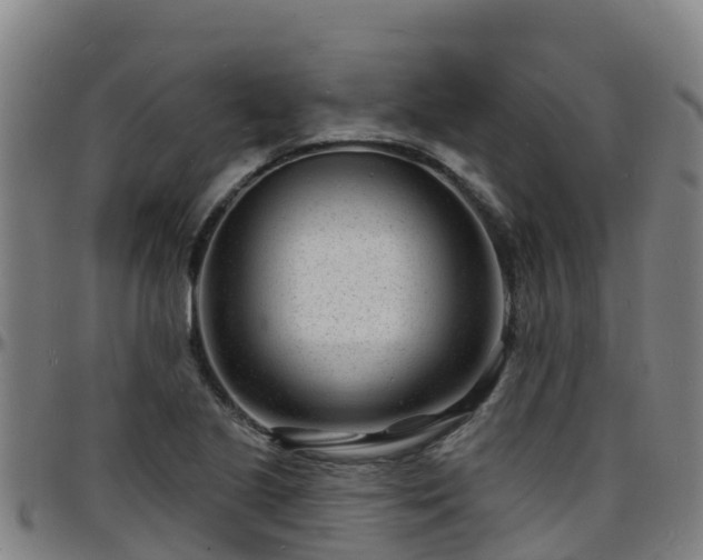 X0000096391221200801311314