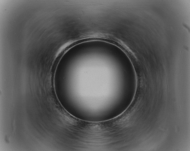 X0000096391222200801311314