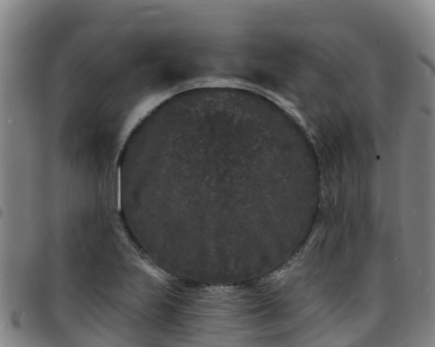 X0000096391223200801311314