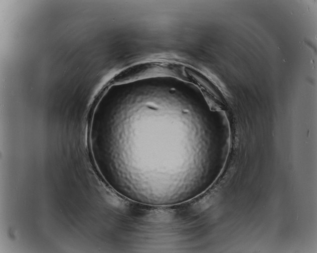 X0000096391224200801311314