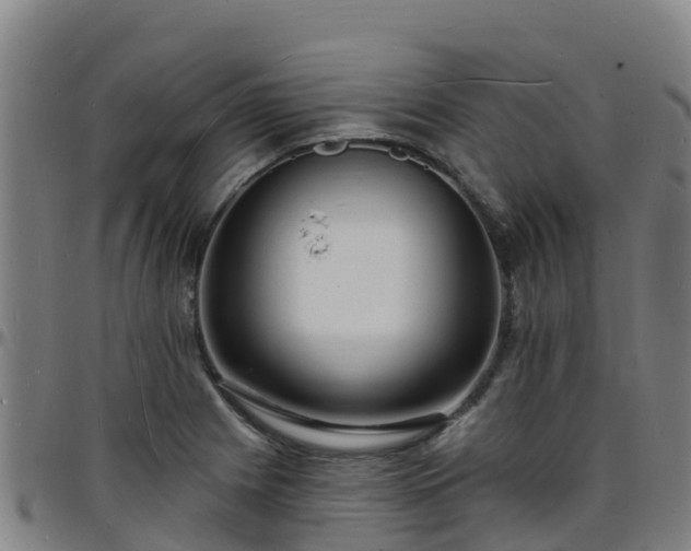 X0000096391225200801311314
