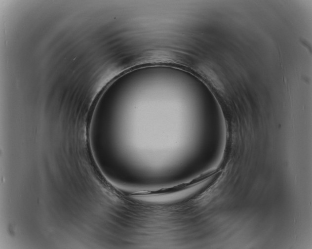 X0000096391226200801311314