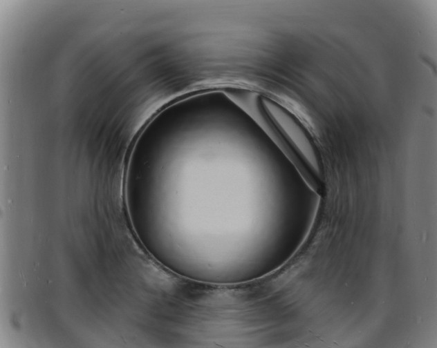 X0000096391228200801311314