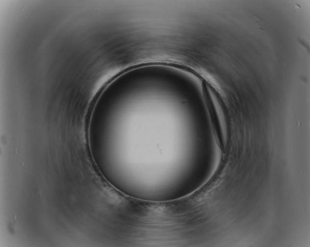 X0000096391230200801311314