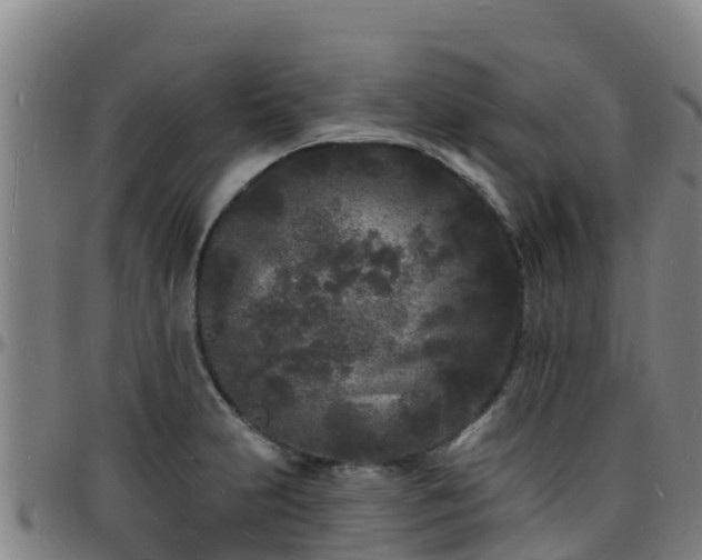 X0000096391231200801311314