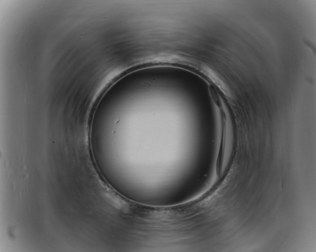 X0000096391232200801311314