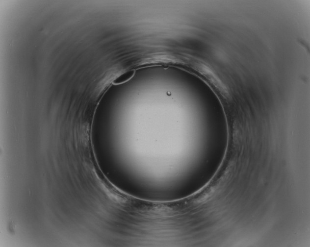 X0000096391233200801311314