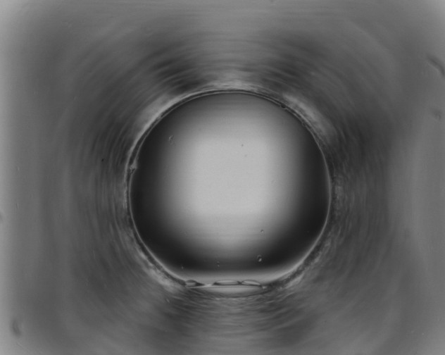 X0000096391236200801311314