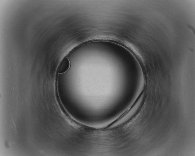 X0000096391237200801311314