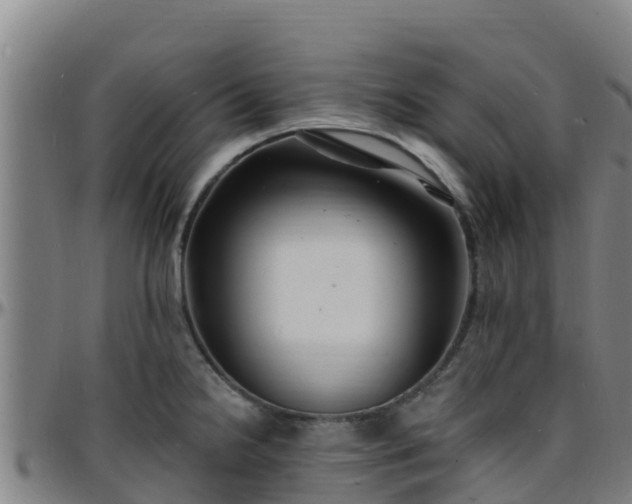 X0000096391238200801311314