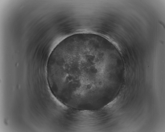 X0000096391239200801311314