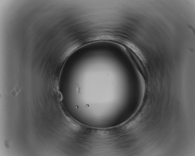 X0000096391241200801311314