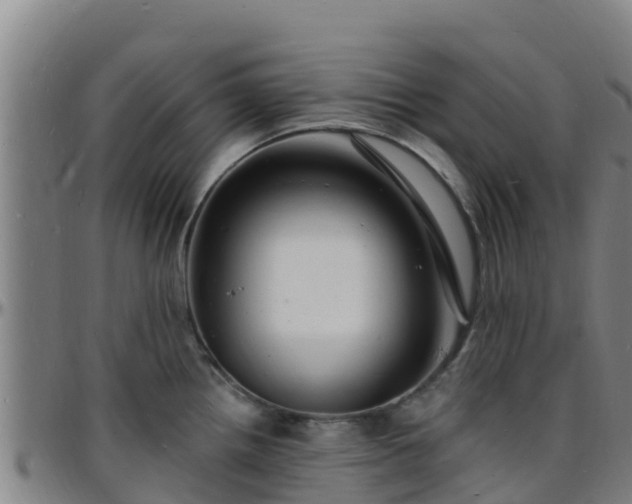X0000096391242200801311314