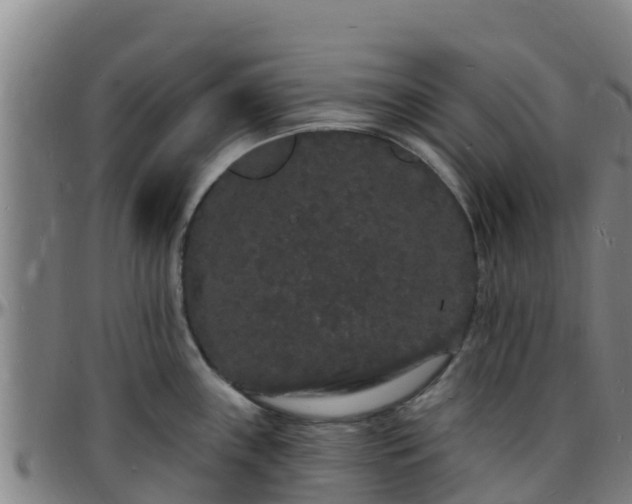 X0000096391243200801311314