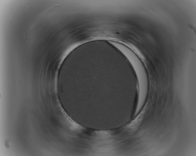 X0000096391246200801311314