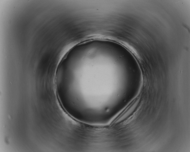 X0000096391247200801311314