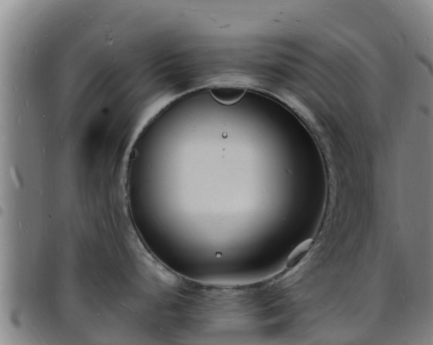 X0000096391248200801311314