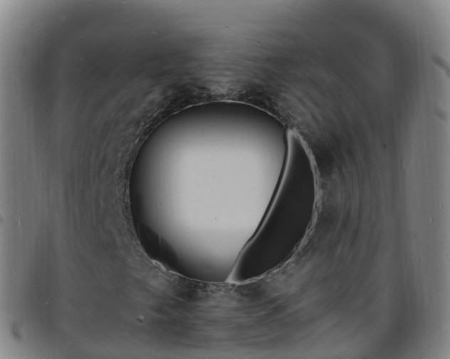 X0000096391249200801311313