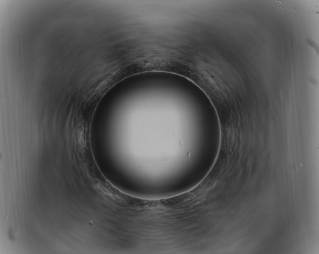 X0000096391250200801311313