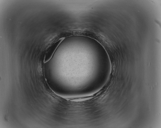 X0000096391252200801311313