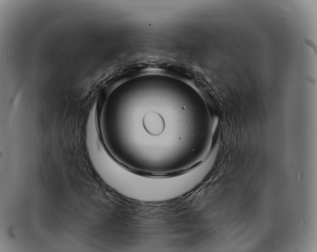 X0000096391253200801311313
