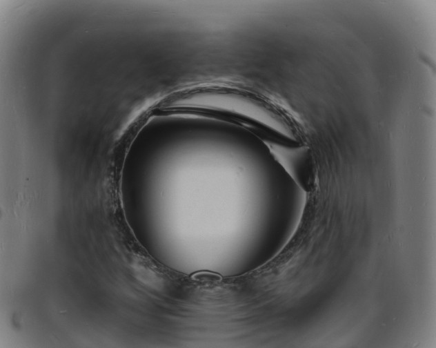 X0000096391256200801311313