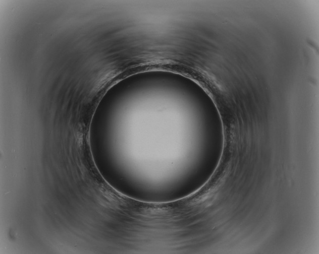 X0000096391257200801311313