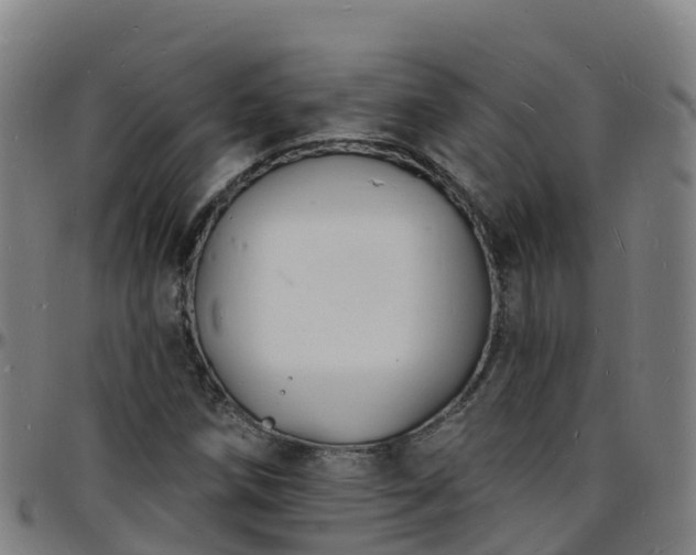 X0000096391258200801311313