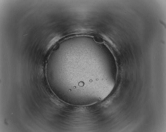 X0000096391259200801311313