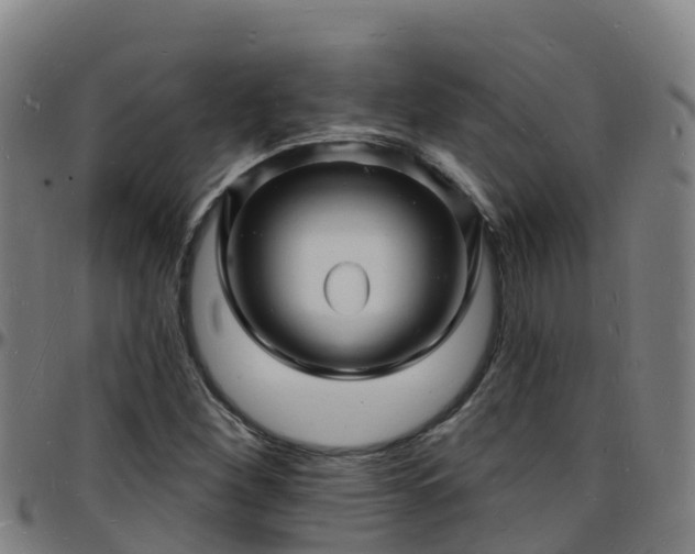 X0000096391260200801311313