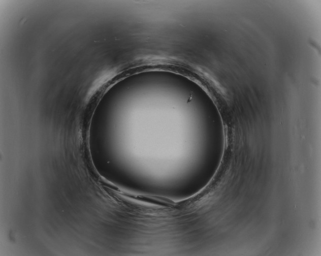 X0000096391261200801311313