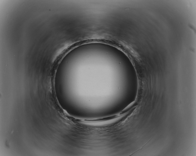 X0000096391262200801311313
