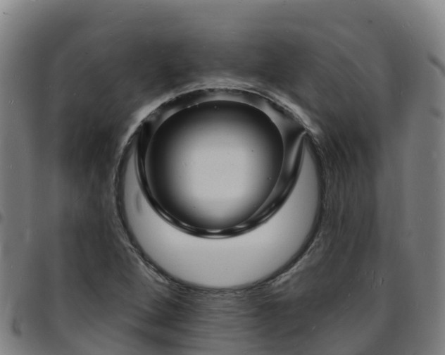 X0000096391264200801311313