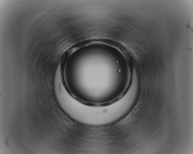 X0000096391265200801311313