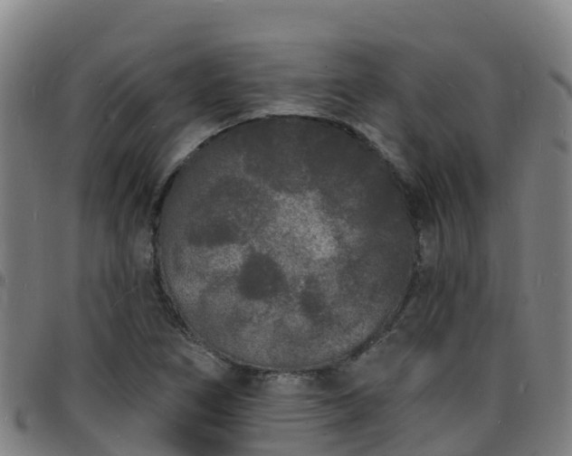 X0000096391266200801311313