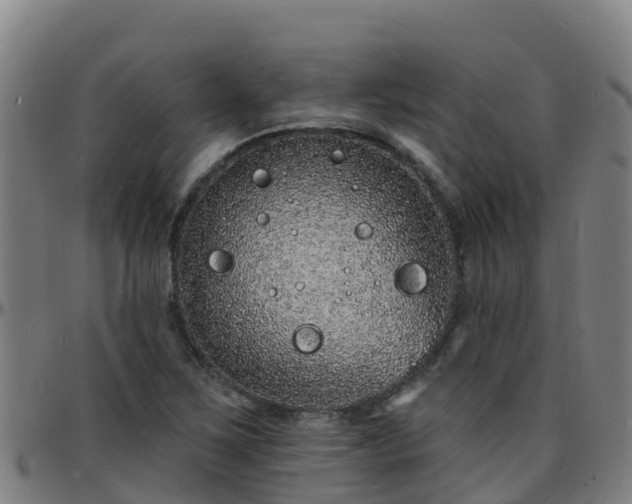 X0000096391267200801311313