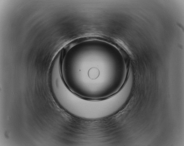 X0000096391268200801311313