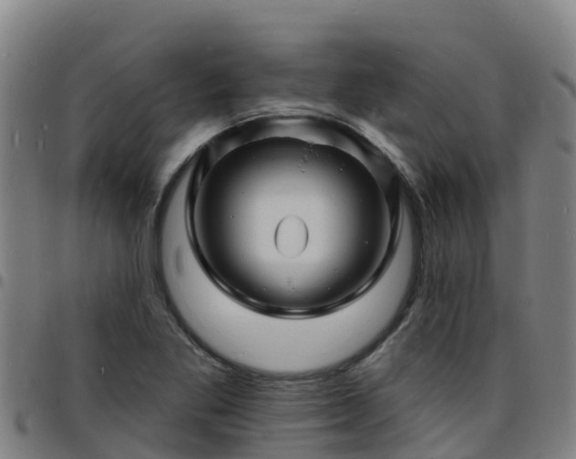 X0000096391269200801311313