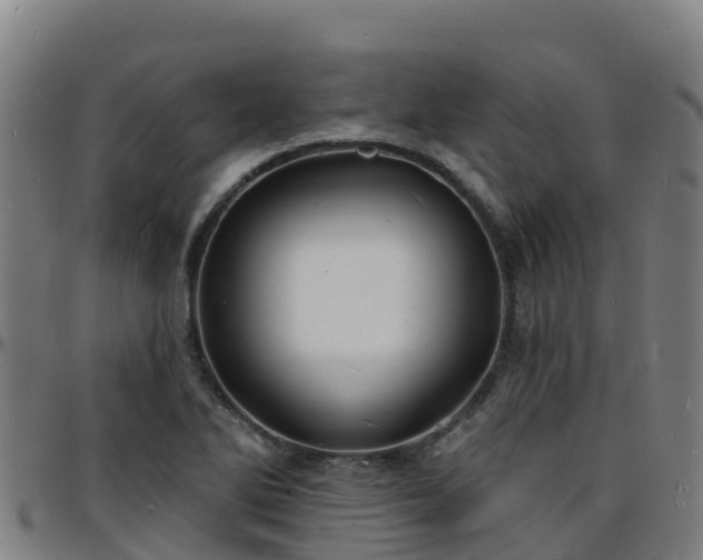 X0000096391270200801311313