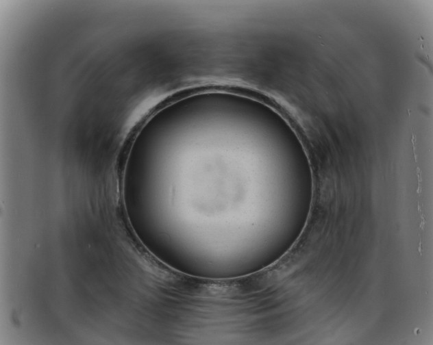 X0000096391271200801311313
