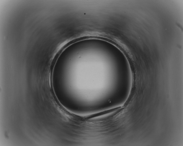 X0000096391272200801311313