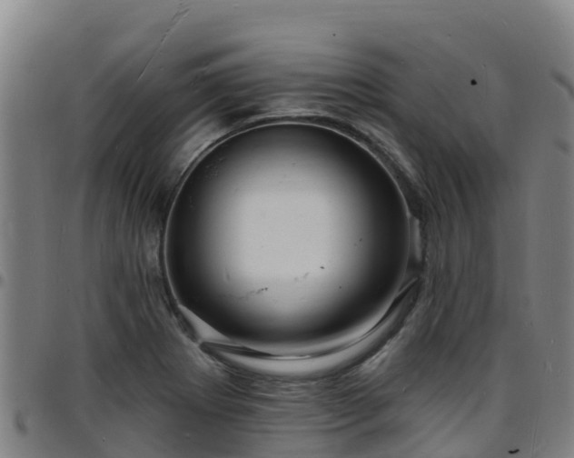 X0000096391273200801311313