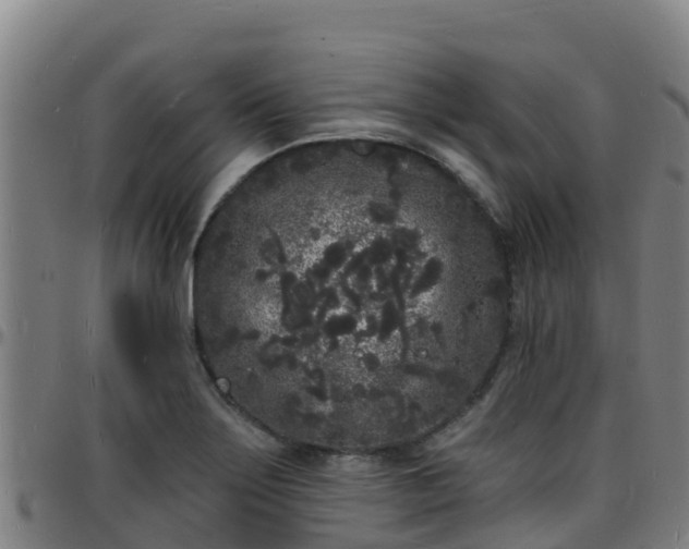 X0000096391275200801311313