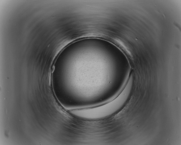 X0000096391276200801311313